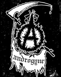 Artist Cover