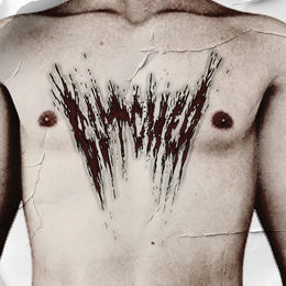 Artist Cover
