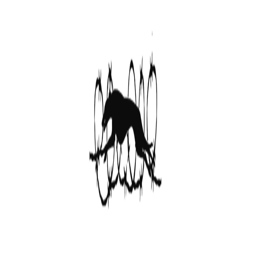 Artist profile