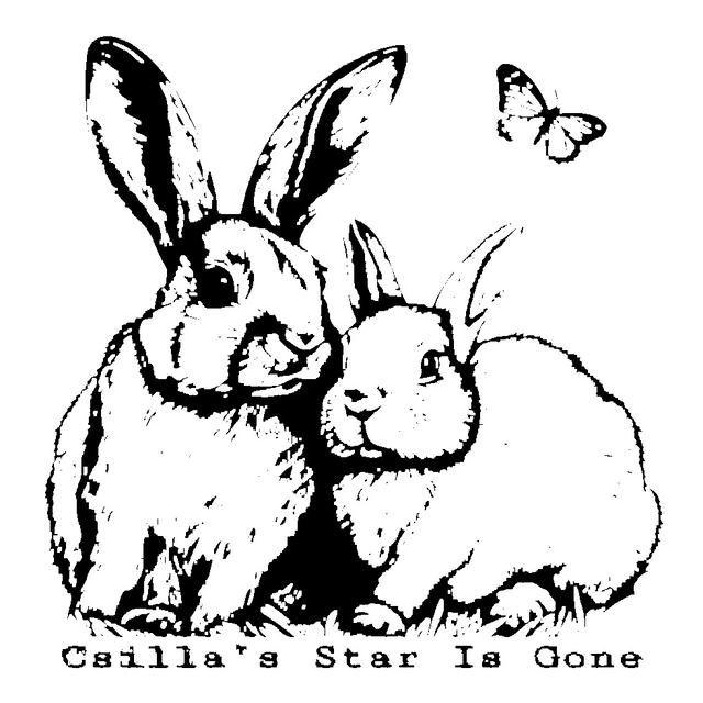 Artist Cover