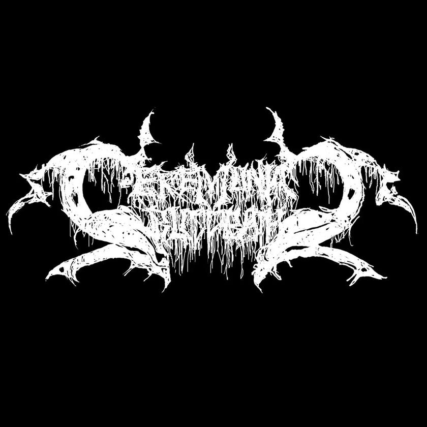 Artist profile