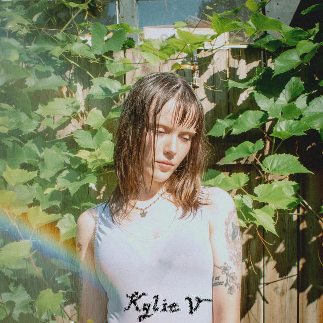 Artist Cover