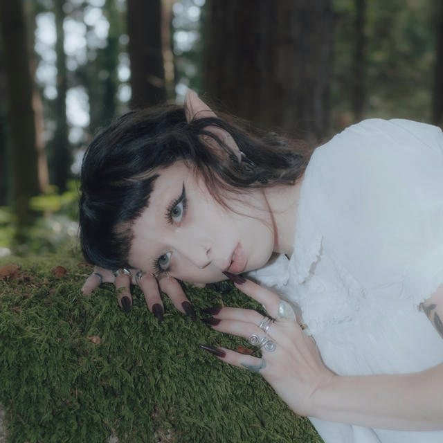 Artist Cover
