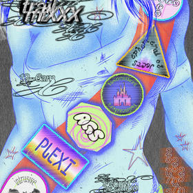 ephemeral objects, AGS, intrusive thots, twincasters, plexi, abers
